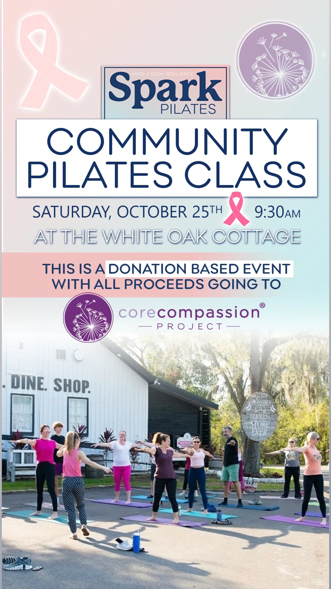 Spark Pilates in Lithia- Community Pilates Day Matraiser to benefit Core Compassion Project and Breast Cancer